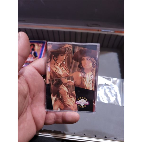 Bench Warmers Adult Trading Card Set 1994