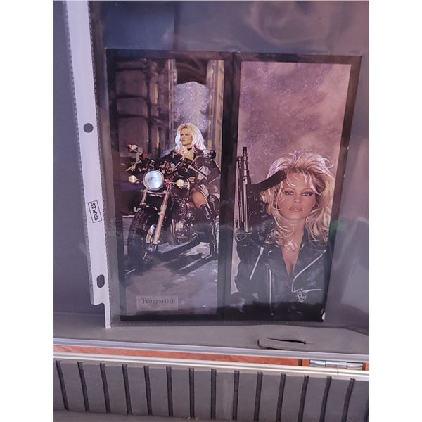 Pamela Anderson Barbed Wire Promo Card