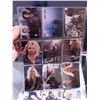 Image 6 : Pamela Anderson Barbed Wire Trading Card Set