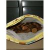 Image 1 : Bag Of Pennies