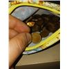 Image 2 : Bag Of Pennies