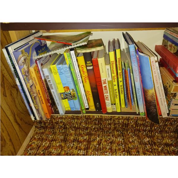 Lot of Childrens Vintage Books