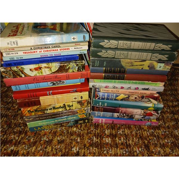Lot of Childrens Vintage Books