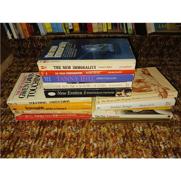 Lot of Adult Taboo Books - Vintage