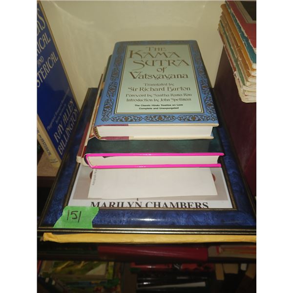 Lot of Adult Taboo Books - Vintage