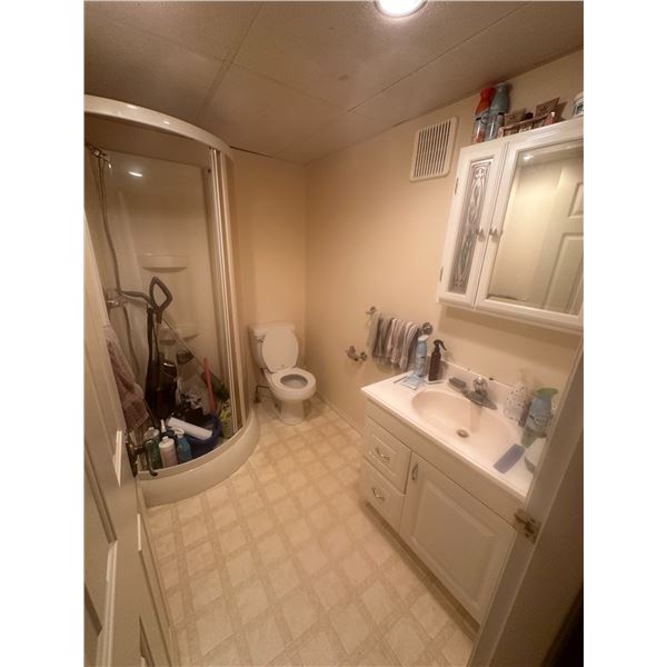 Contents of Bathroom on Main Floor