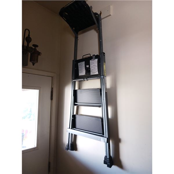 3 Step Ladder