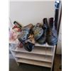 Image 4 : Contents in the Blue Circle + Shoe Shelf and Contents