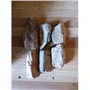 Image 1 : 6 Pieces of Petried Wood - Before fully tumbled and polished