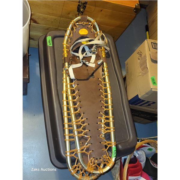 Snowshoes