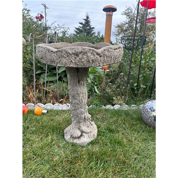 Bird Bath
