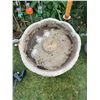 Image 2 : Bird Bath