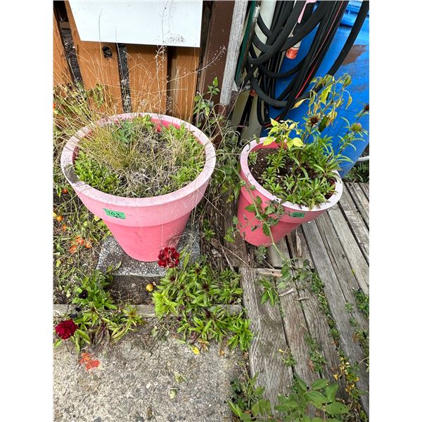 2 Red Pots