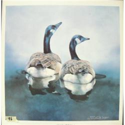 Signed an numbered print by Annette Hartzell "Canadian Reflections" (227)