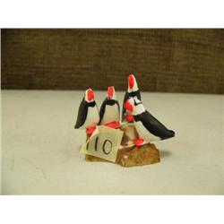 4 puffin rookery (2)