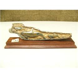 Relief carved mammoth bark of  whales (2)