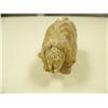 Image 2 : Soapstone musk ox (3)