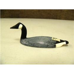 CHOICE on 3 Al Mayac birds: Canada Goose (2)