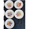 Image 2 : Schumann Arzberg China Plates & Salt & Pepper Shakers