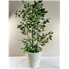 Image 1 : Large Pot with Faux Tree