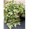 Image 2 : 3 Faux Potted Vines