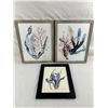 Image 1 : Framed Watercolour Prints