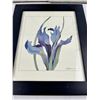 Image 2 : Framed Watercolour Prints