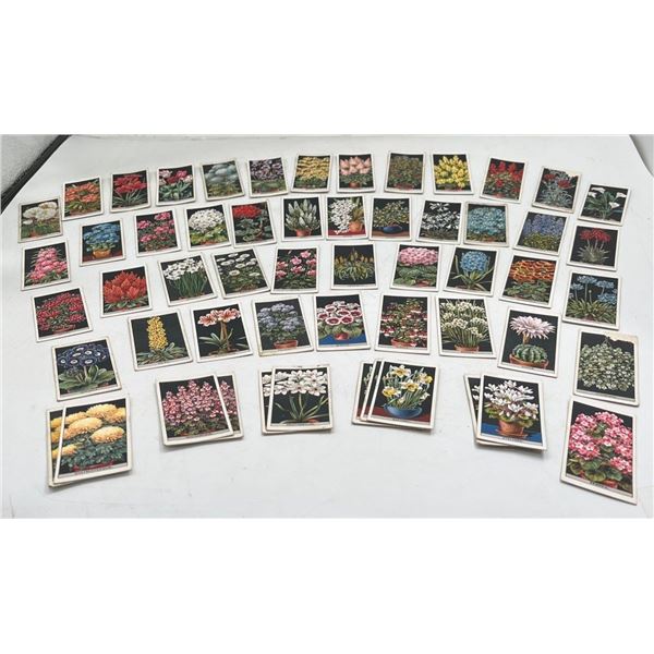 Imperial Tobacco Company Flower Culture in Pots Card Set