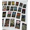 Image 3 : Imperial Tobacco Company Flower Culture in Pots Card Set