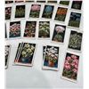 Image 5 : Imperial Tobacco Company Flower Culture in Pots Card Set