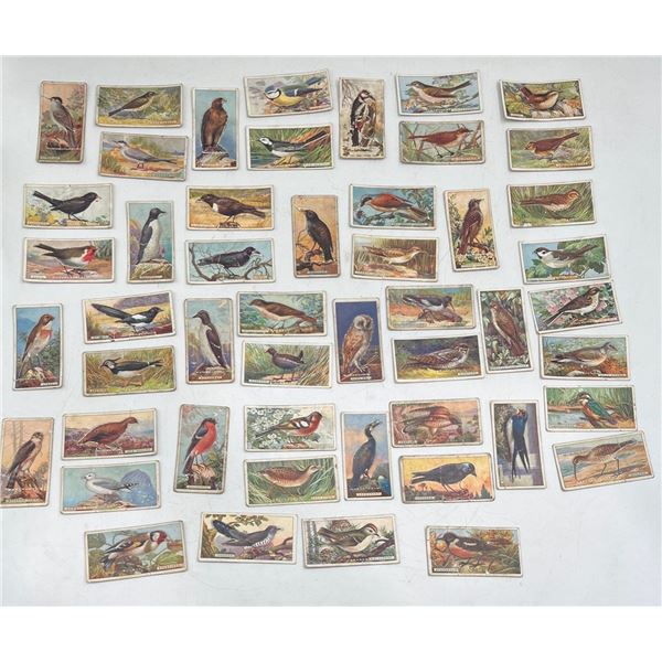 Imperial Tobacco Company British Birds Card Set