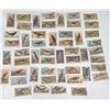 Image 1 : Imperial Tobacco Company British Birds Card Set