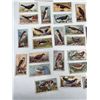 Image 4 : Imperial Tobacco Company British Birds Card Set