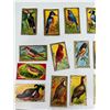 Image 2 : Imperial Tobacco Company Game Birds Card Set