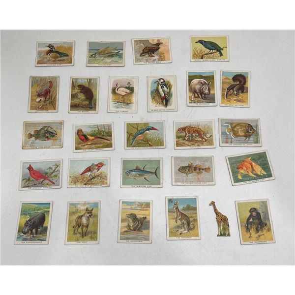 Imperial Tobacco Company Birds, Beasts, & Fishes Card Set