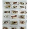 Image 2 : Imperial Tobacco Company Dogs Card Set