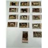 Image 2 : Imperial Tobacco Company Dogs Series Card Set