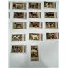 Image 3 : Imperial Tobacco Company Dogs Series Card Set