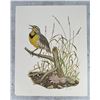 Image 1 : Joe Thornbrugh Meadowlark Print Montana