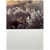 Image 2 : Barbara Peets Last Light Print