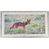 Image 1 : Zee Huang On The Move Coyote Print