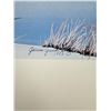 Image 2 : Janene Grende Utter Silent Observer Artist Proof