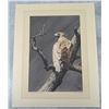 Image 1 : Bruce Lattig And John Craighead Eagle Print
