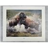 Image 1 : Barbara Peets Rivals Fighting Buffalo Print