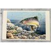 Image 1 : Dave Bartholet Rainbow Trout Print