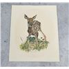 Image 1 : J Manning Fawn Print