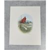 Image 2 : Ronald Louque Cardinal Limited Edition Prints