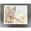 Image 1 : Pam Stoehsler Saw Whet Owl Print