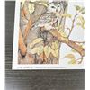 Image 2 : Pam Stoehsler Saw Whet Owl Print