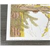 Image 2 : Pam Stoehsler Spotted Owl Print